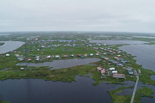 The other Alaska airlift: Volunteers save dogs from a flooded Alaska village, 1 tiny plane at a time