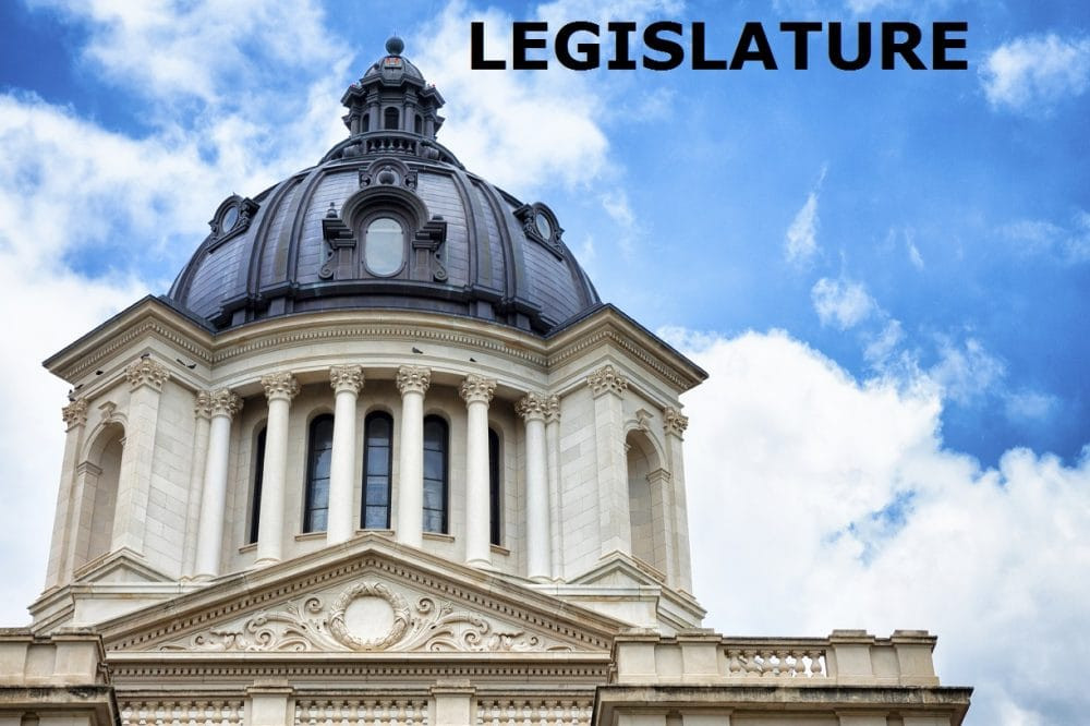 Senate passes constitutional amendment for 2026 ballot that could end expanded Medicaid
