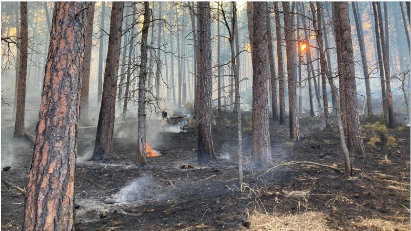 As winter turns to spring, experts predict a hot, dry season