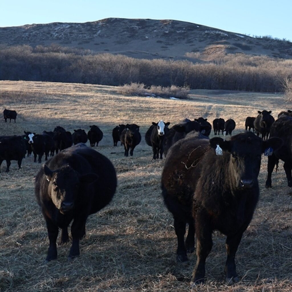Finding a long term farm aid fix after huge agricultural losses