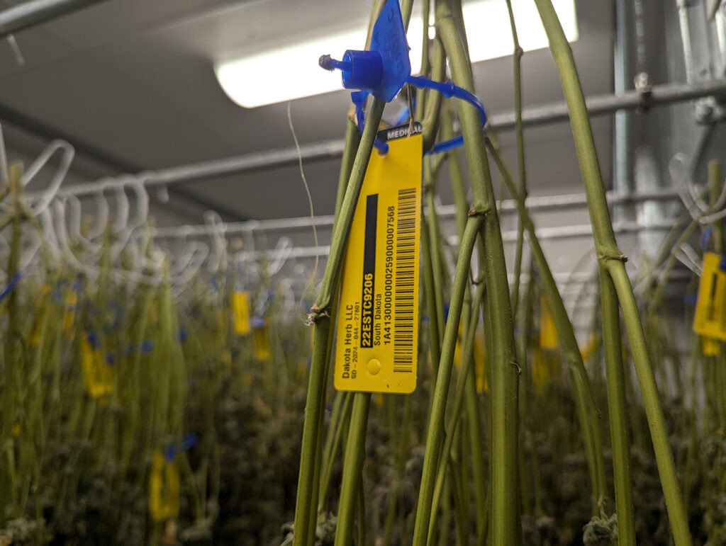 Reclassification eases taxes and banking for medical cannabis, but leaves state with questions