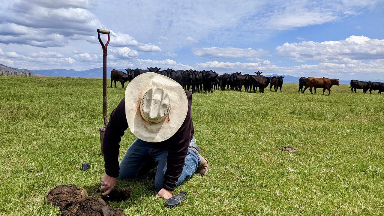 USDA funding freeze continues to impact producers