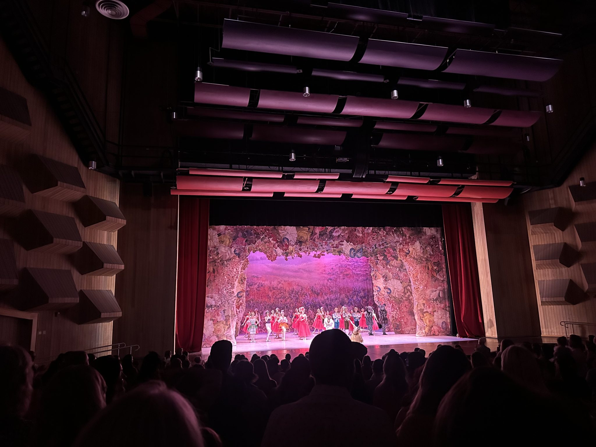 Cinderella is on Pointe: Rapid City Turns Out