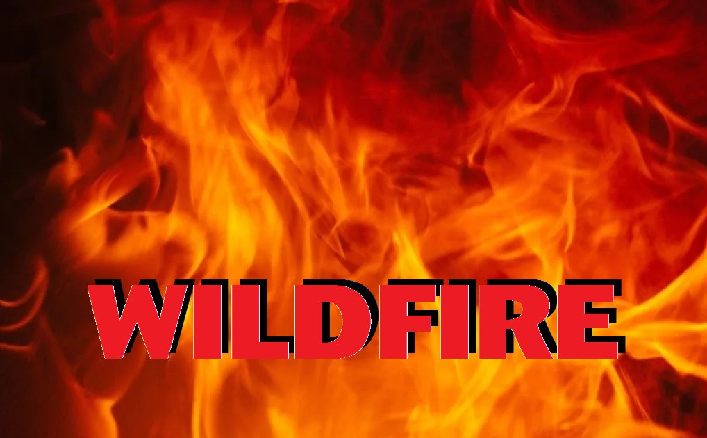 Great Plains Fire reports handful of small fires Friday