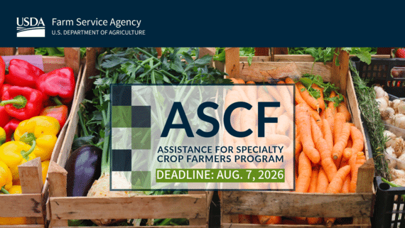 USDA launches $1.625 Billion specialty crop payout amid trade wars and agency downsizing