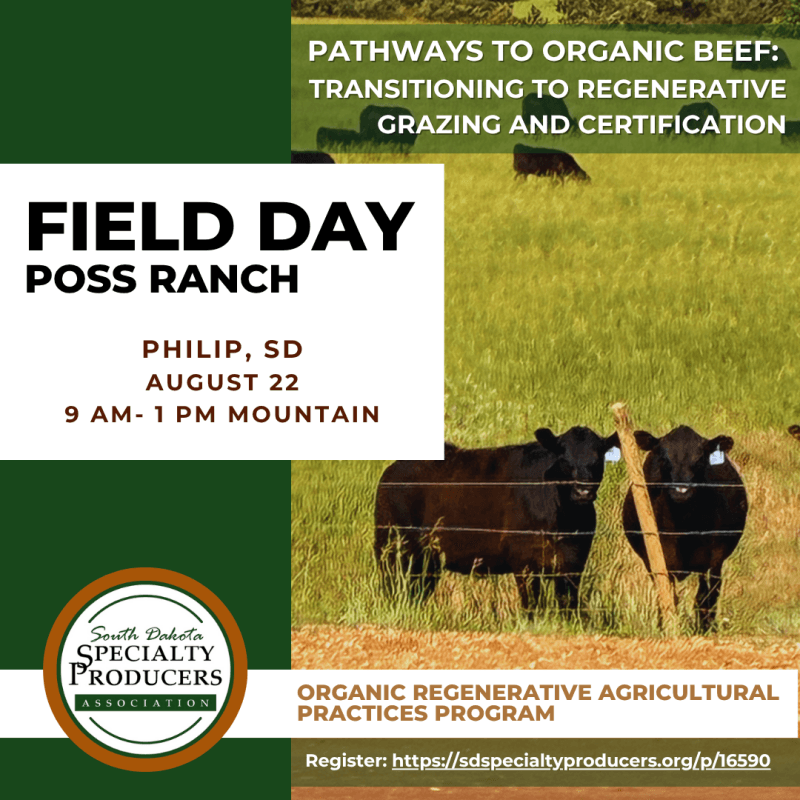 Producers Invited to Explore Organic Beef Transition at Field Day Near Philip