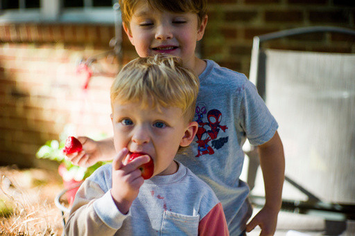 WIC food program receives $300M to keep running during government shutdown