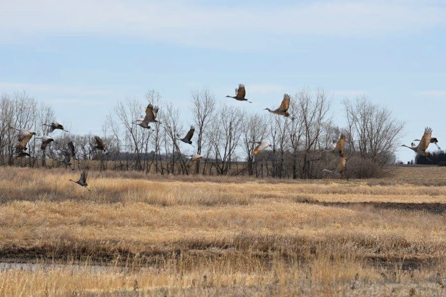 Farmers, ranchers and conservationists need a functioning government